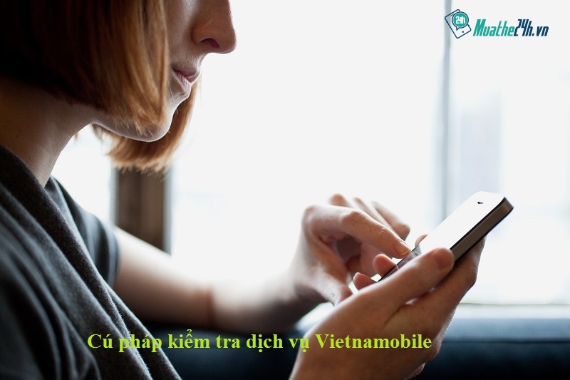 Cú pháp kiểm tra dịch vụ Vietnamobile