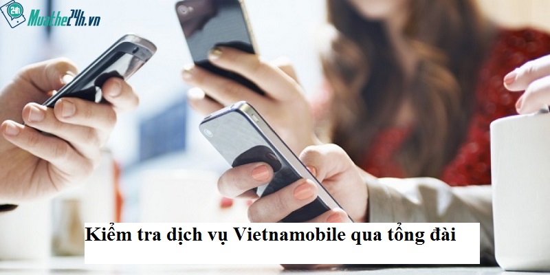 Số tổng đài hỗ trợ kiểm tra các dịch vụ của Vietnamobile